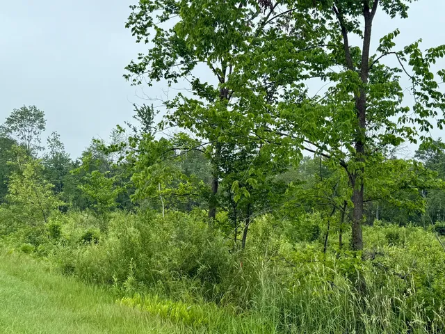 $579,000 | 33486 Driftwood Avenue, Unit B, Warrens, WI 54666