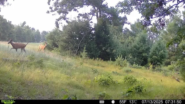 $579,000 | 33486 Driftwood Avenue, Unit B, Warrens, WI 54666