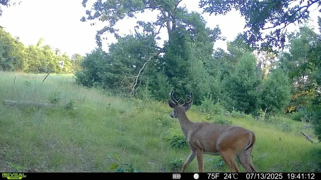 $579,000 | 33486 Driftwood Avenue, Unit B, Warrens, WI 54666