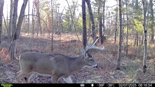 $579,000 | 33486 Driftwood Avenue, Unit B, Warrens, WI 54666