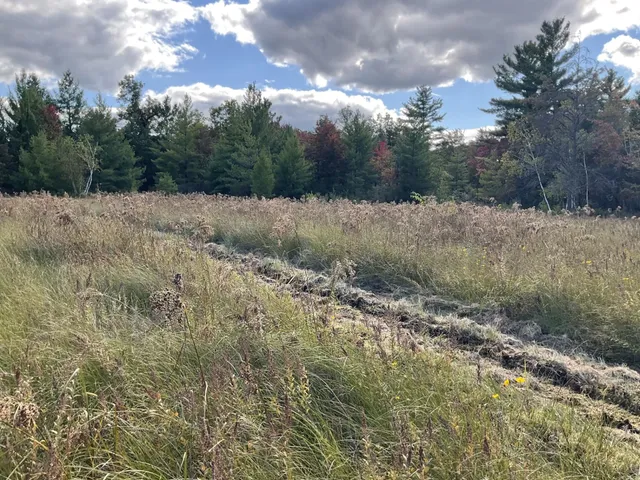 $579,000 | 33486 Driftwood Avenue, Unit B, Warrens, WI 54666