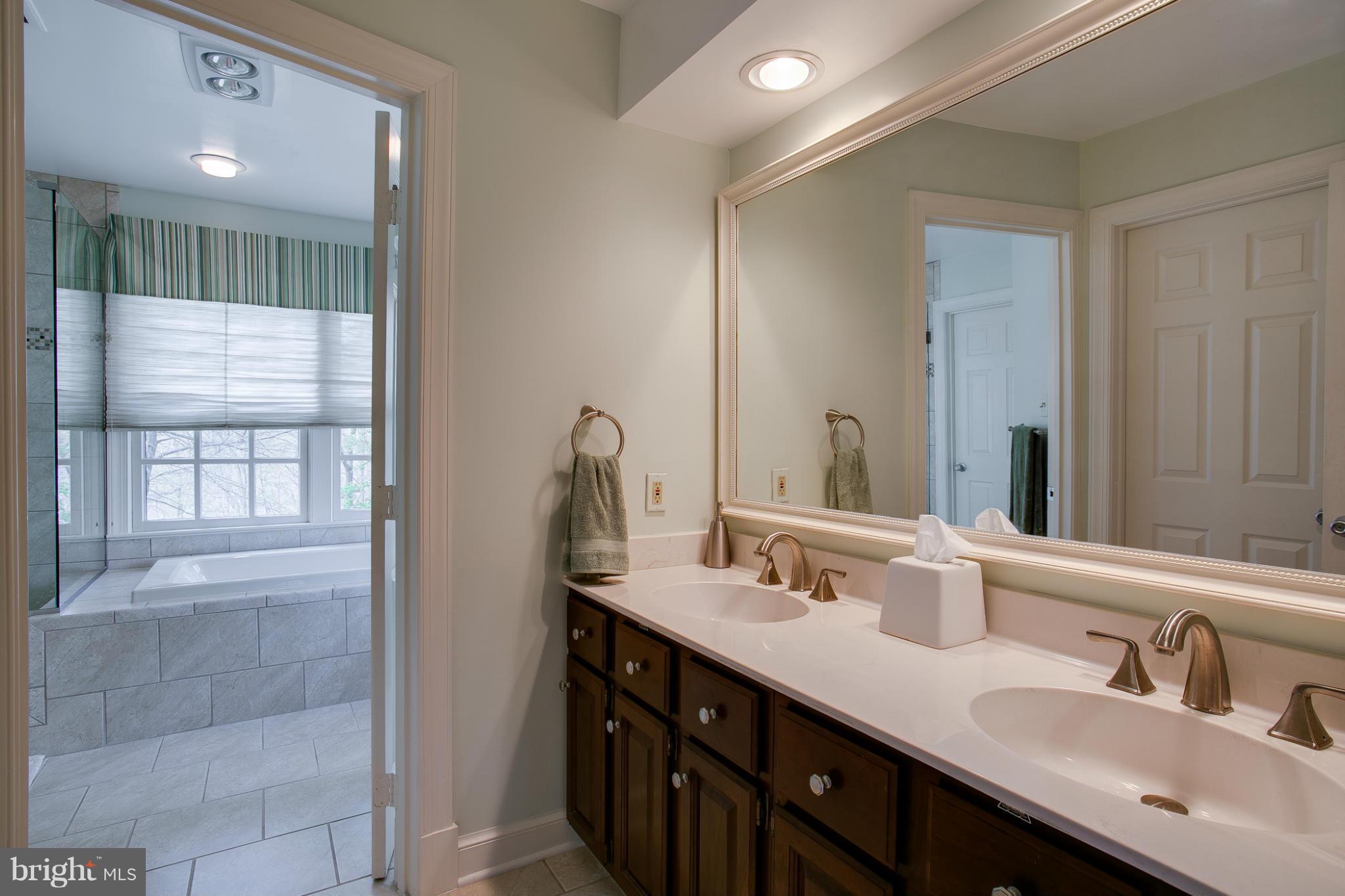 2323 Ridge Tree Court Ellicott City, MD 21042 - Photo 20 of 30 Bath (Master)