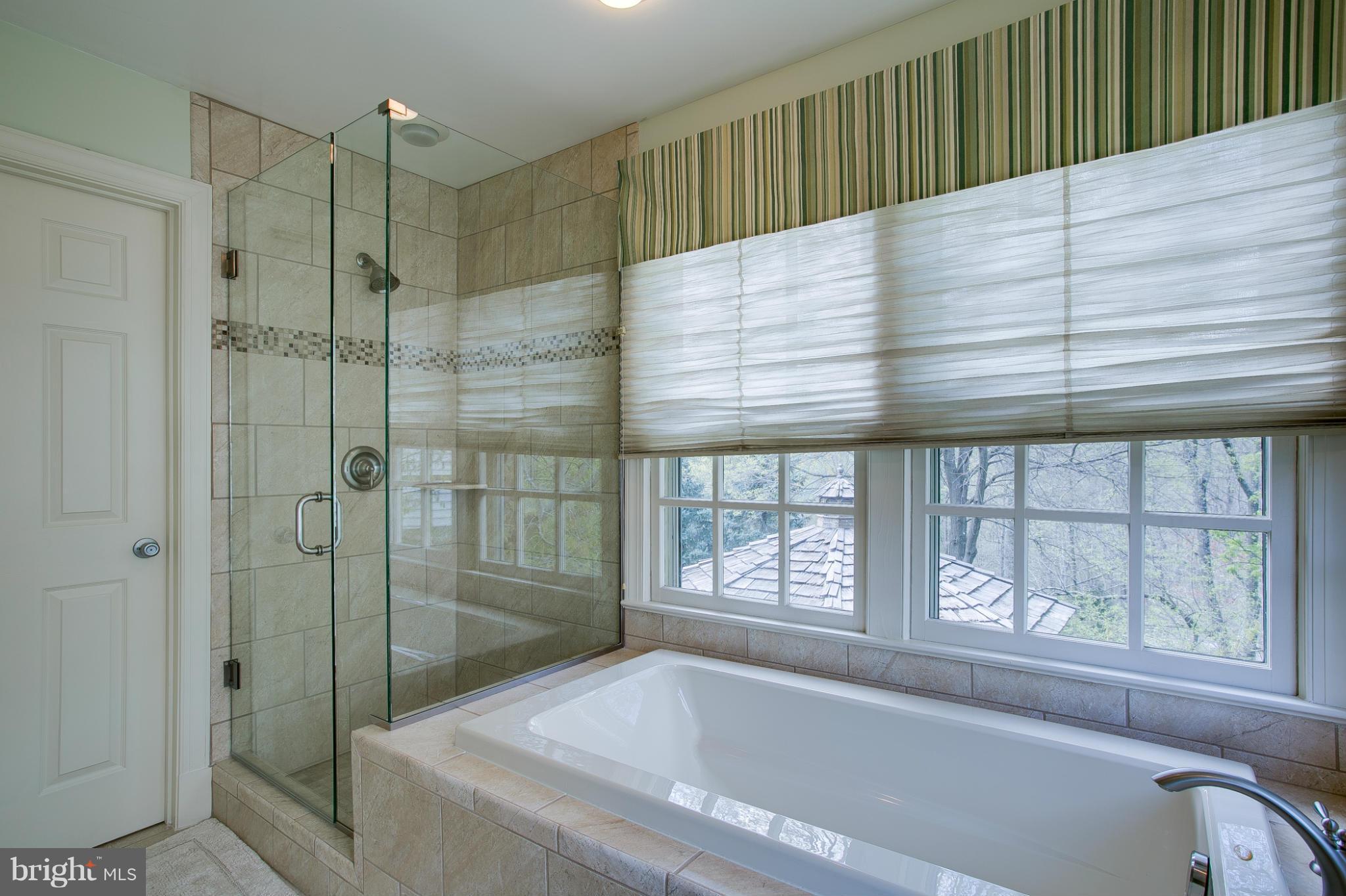2323 Ridge Tree Court Ellicott City, MD 21042 - Photo 21 of 30 Bath (Master)