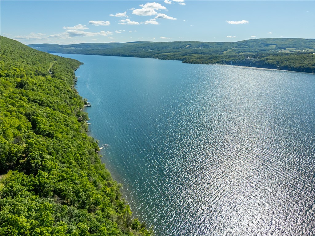 198 East Lake Road Middlesex, NY 14544 - Photo 41 of 50 AERIAL VIEW OF CANANDAIGUA LAKE COAST LOOKING SOUT