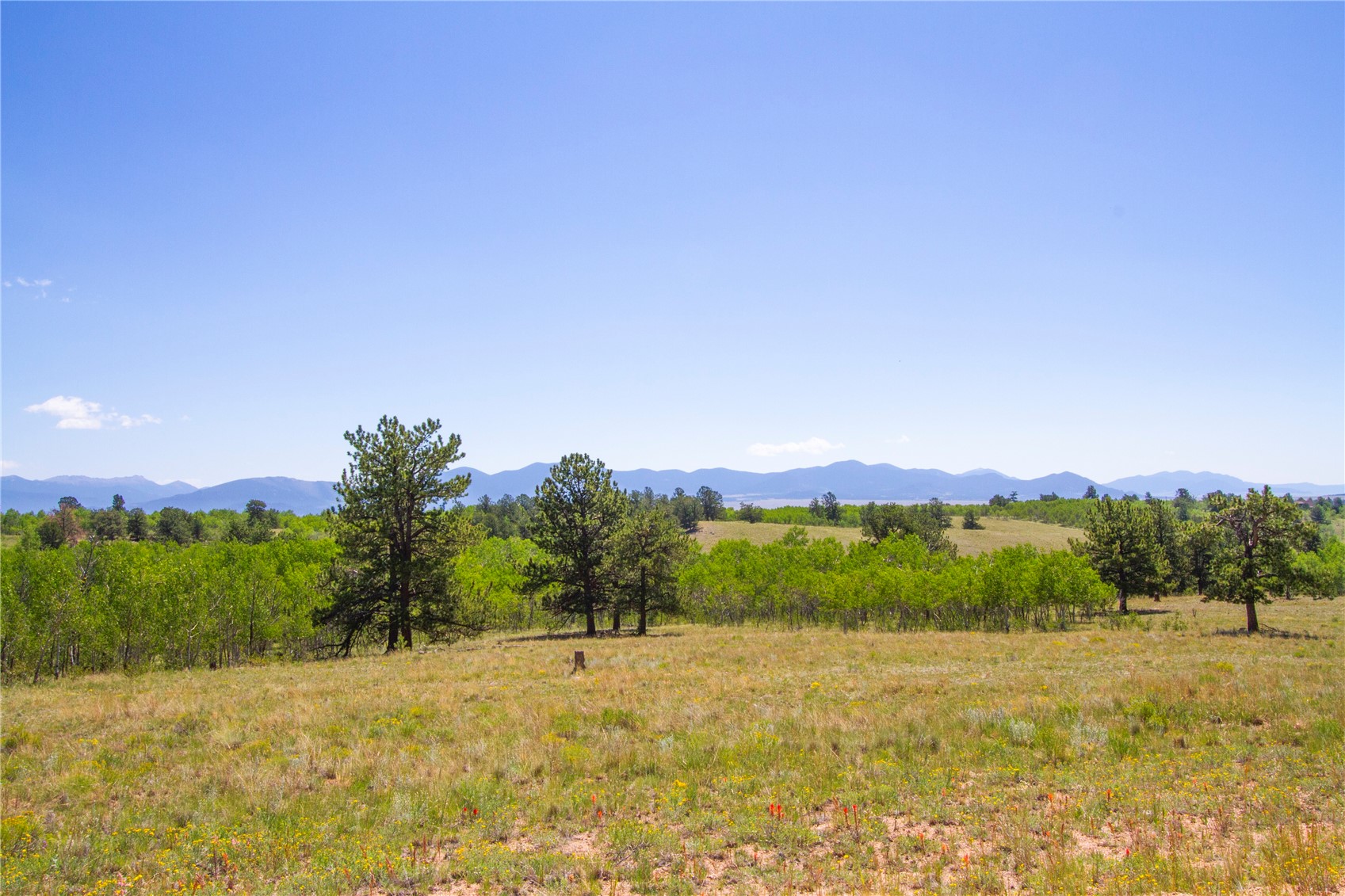4134 Buffalo Ridge Road Como, CO 80432 - Photo 38 of 41 Gallery Image 38