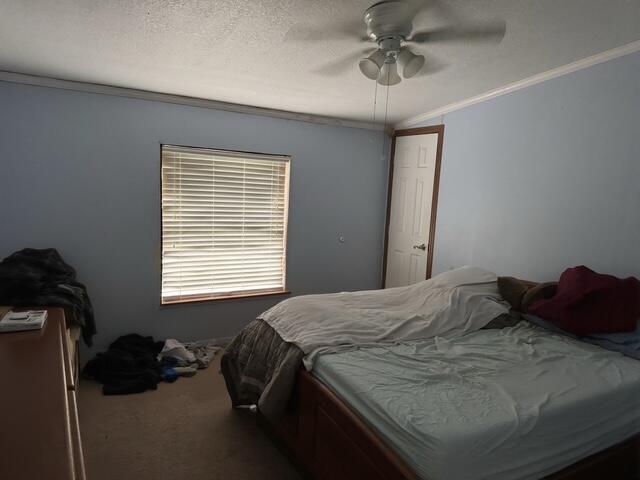 335 Beechburg Road Flemingsburg, KY 41041 - Photo 19 of 25 335 bedroom 2