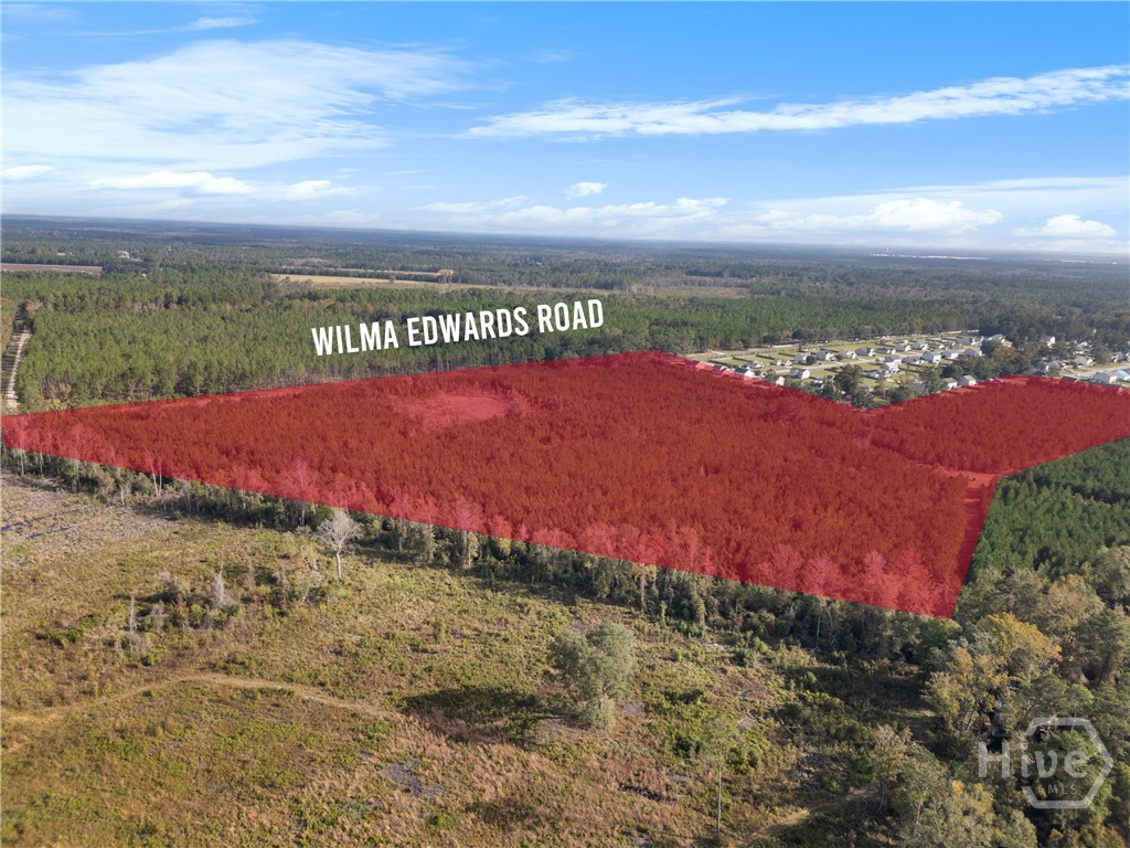 0 Wilma Edwards Road Pembroke, GA 31321 - Photo 3 of 21