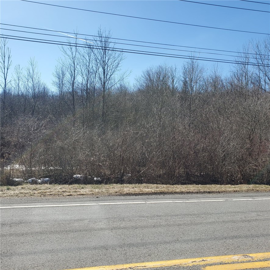 Lot 10 Stony Point Road Rochester, NY 14624 - Photo 1 of 1