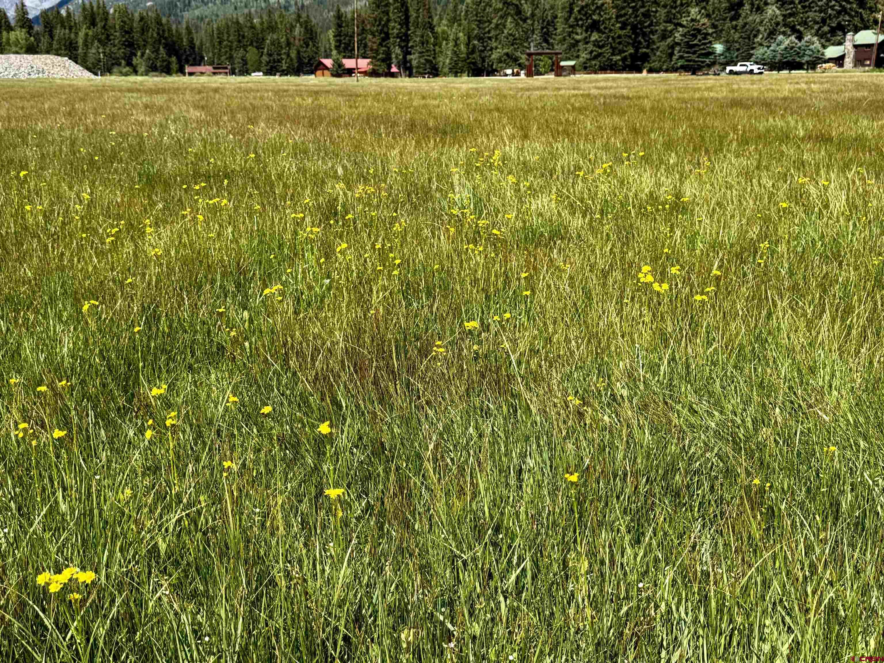 156 Golden Forest Road Bayfield, CO 81122 - Photo 20 of 23