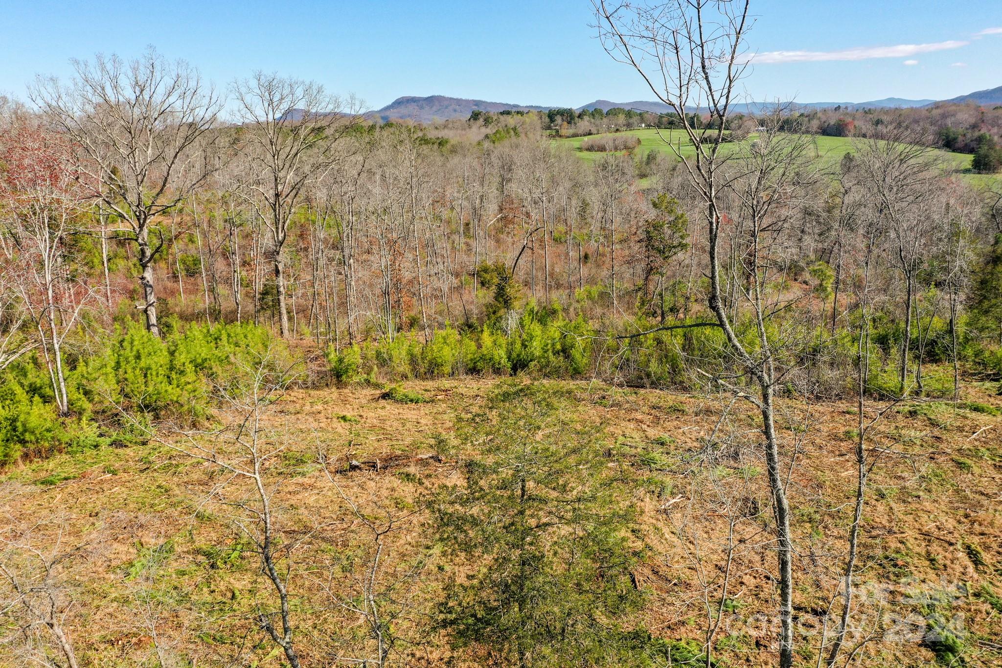 0 Collins Road Forest City, NC 28043 - Photo 1 of 20 a view of a garden