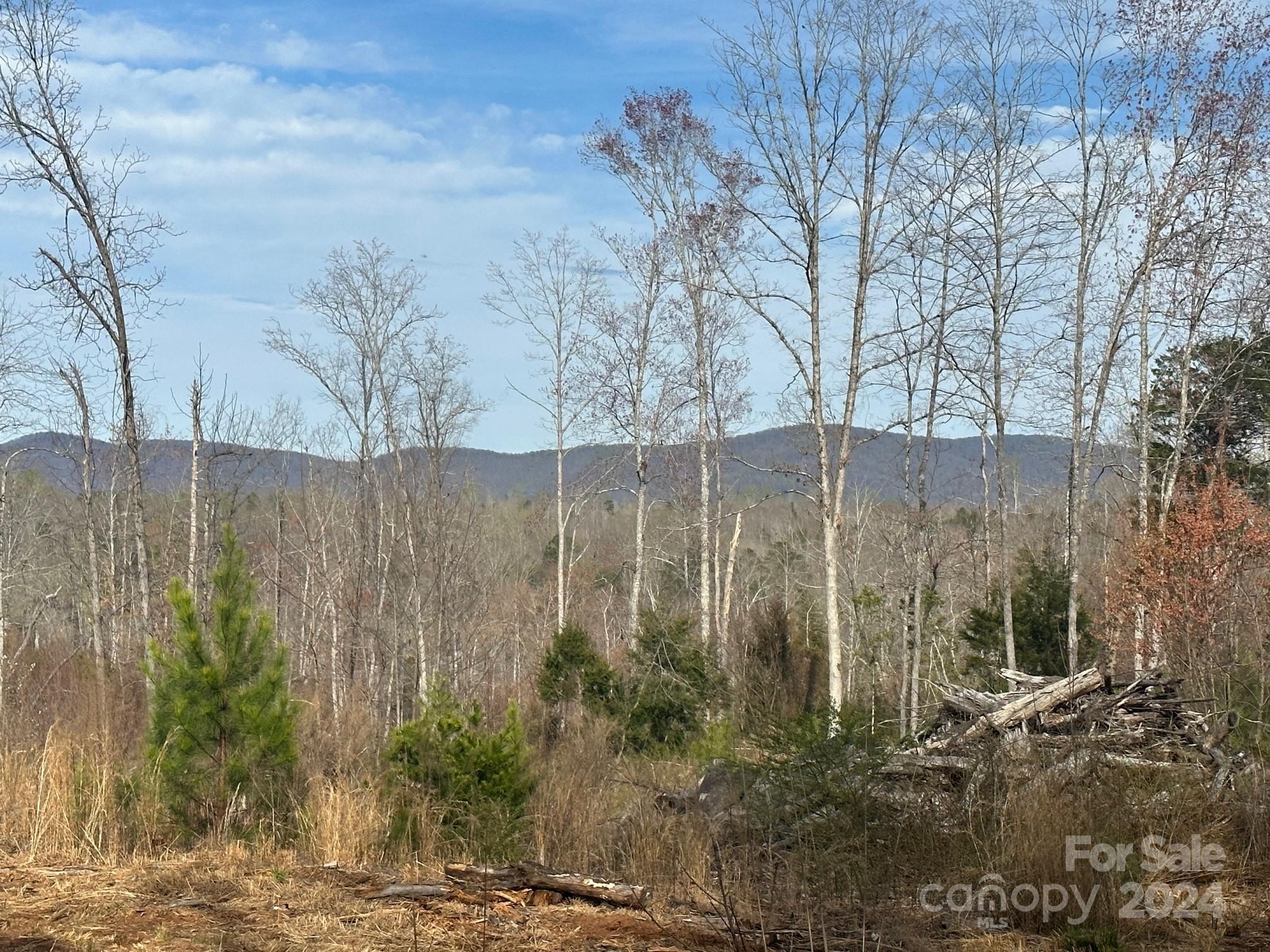 0 Collins Road Forest City, NC 28043 - Photo 14 of 20 a view of a backyard