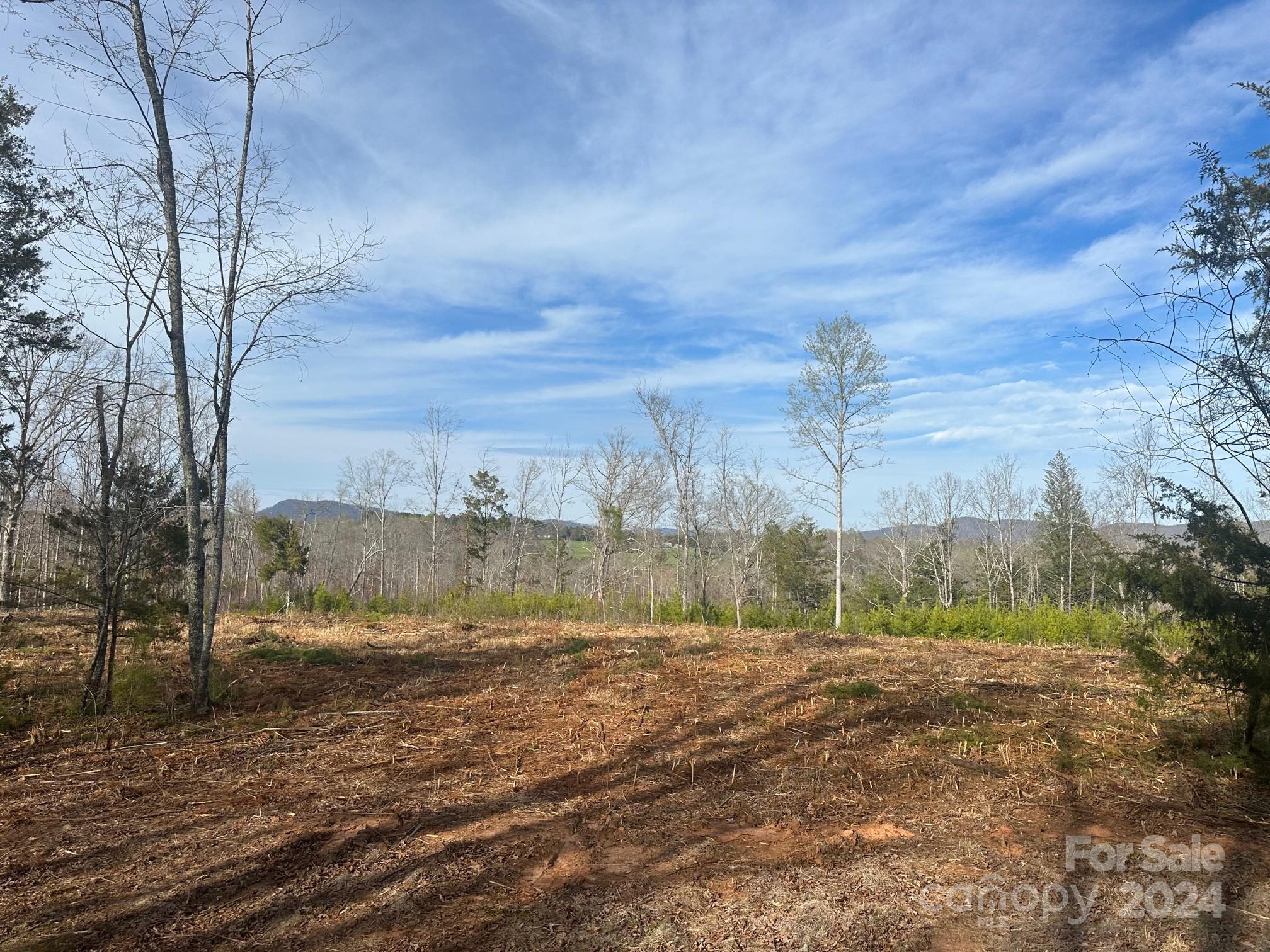 0 Collins Road Forest City, NC 28043 - Photo 15 of 20 a view of a lake