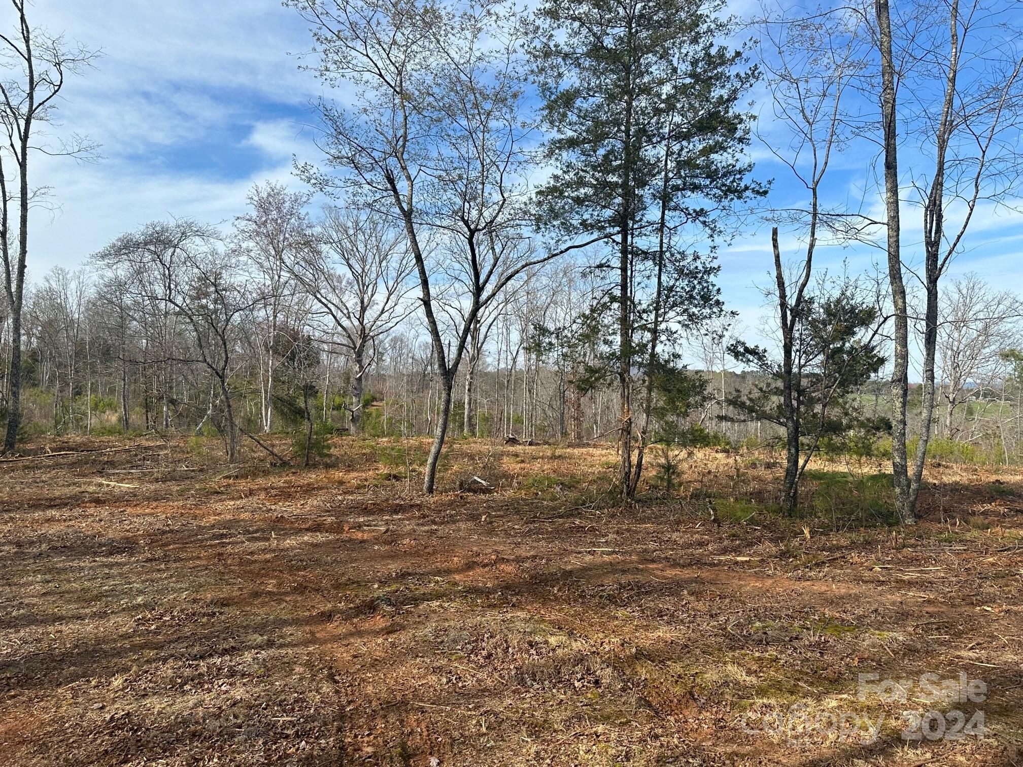 0 Collins Road Forest City, NC 28043 - Photo 16 of 20 a backyard of a house with lots of green space