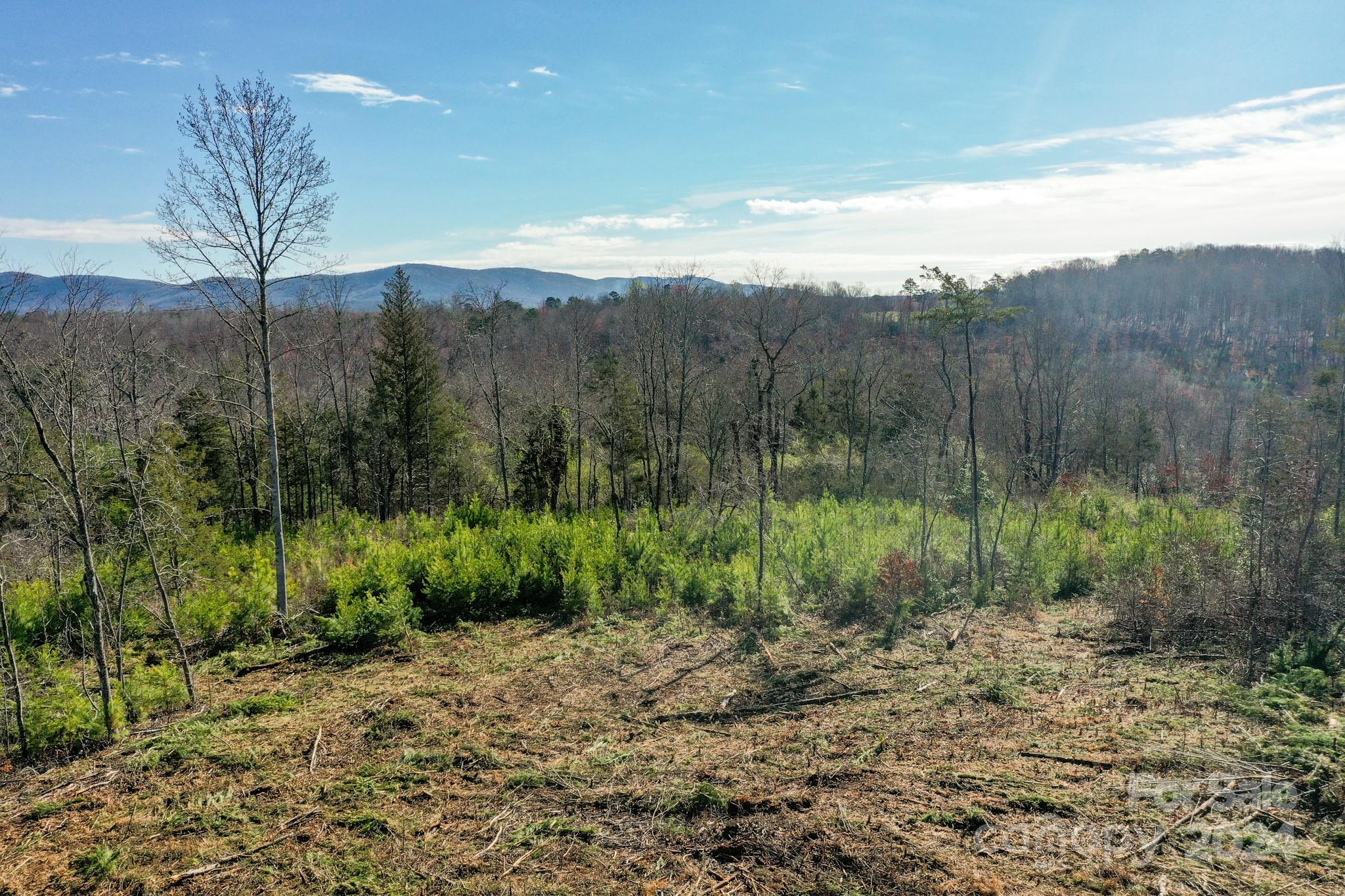 0 Collins Road Forest City, NC 28043 - Photo 17 of 20 a view of a valley