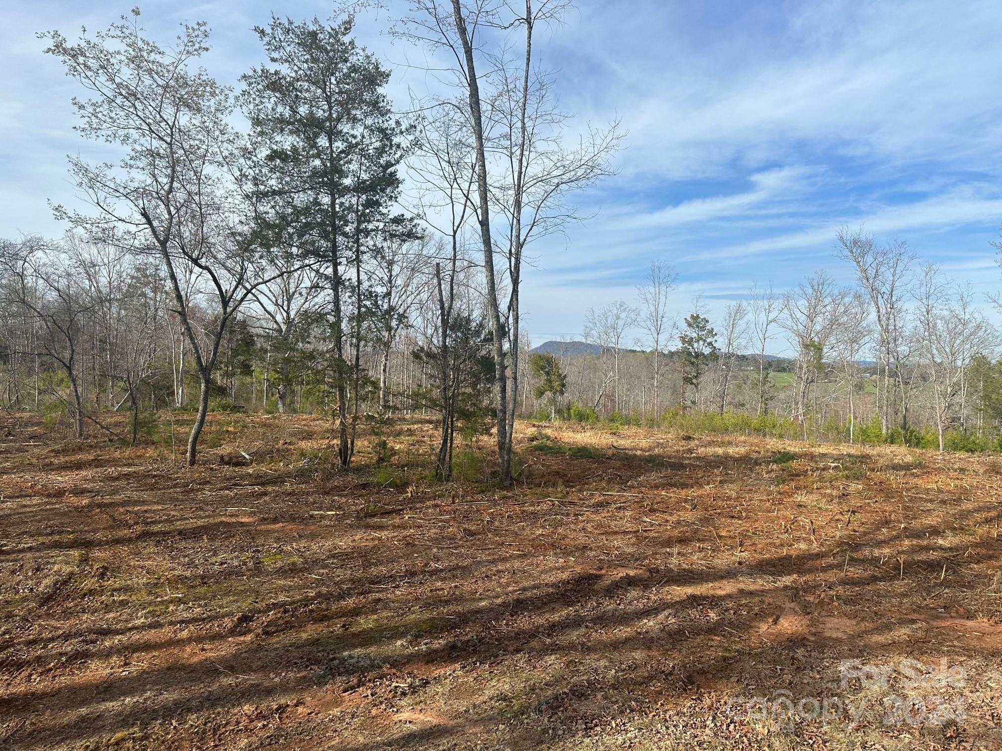0 Collins Road Forest City, NC 28043 - Photo 3 of 20 a view of a yard with wooden fence