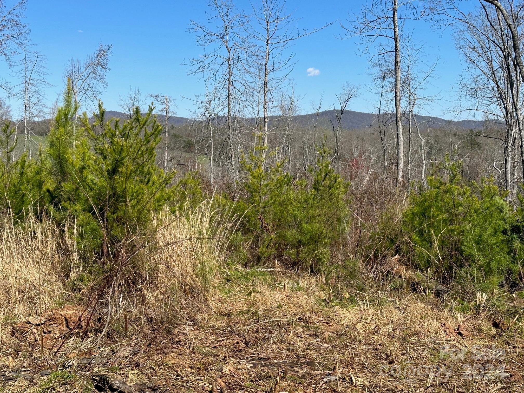 0 Collins Road Forest City, NC 28043 - Photo 5 of 20 a view of a yard