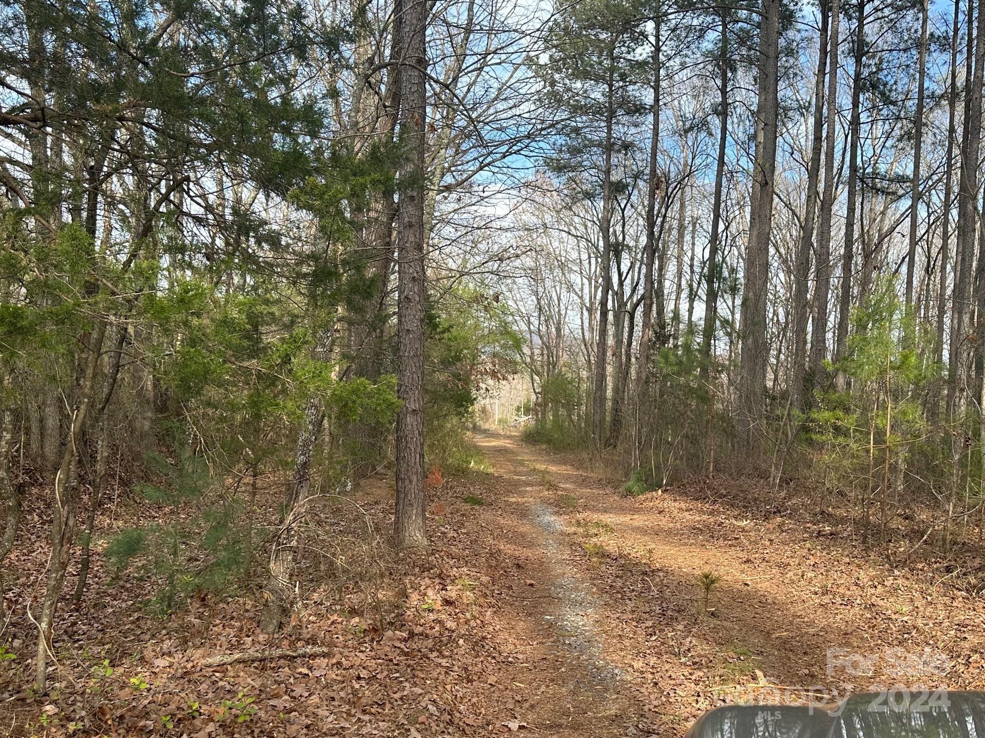 0 Collins Road Forest City, NC 28043 - Photo 7 of 20 a view of backyard of green space
