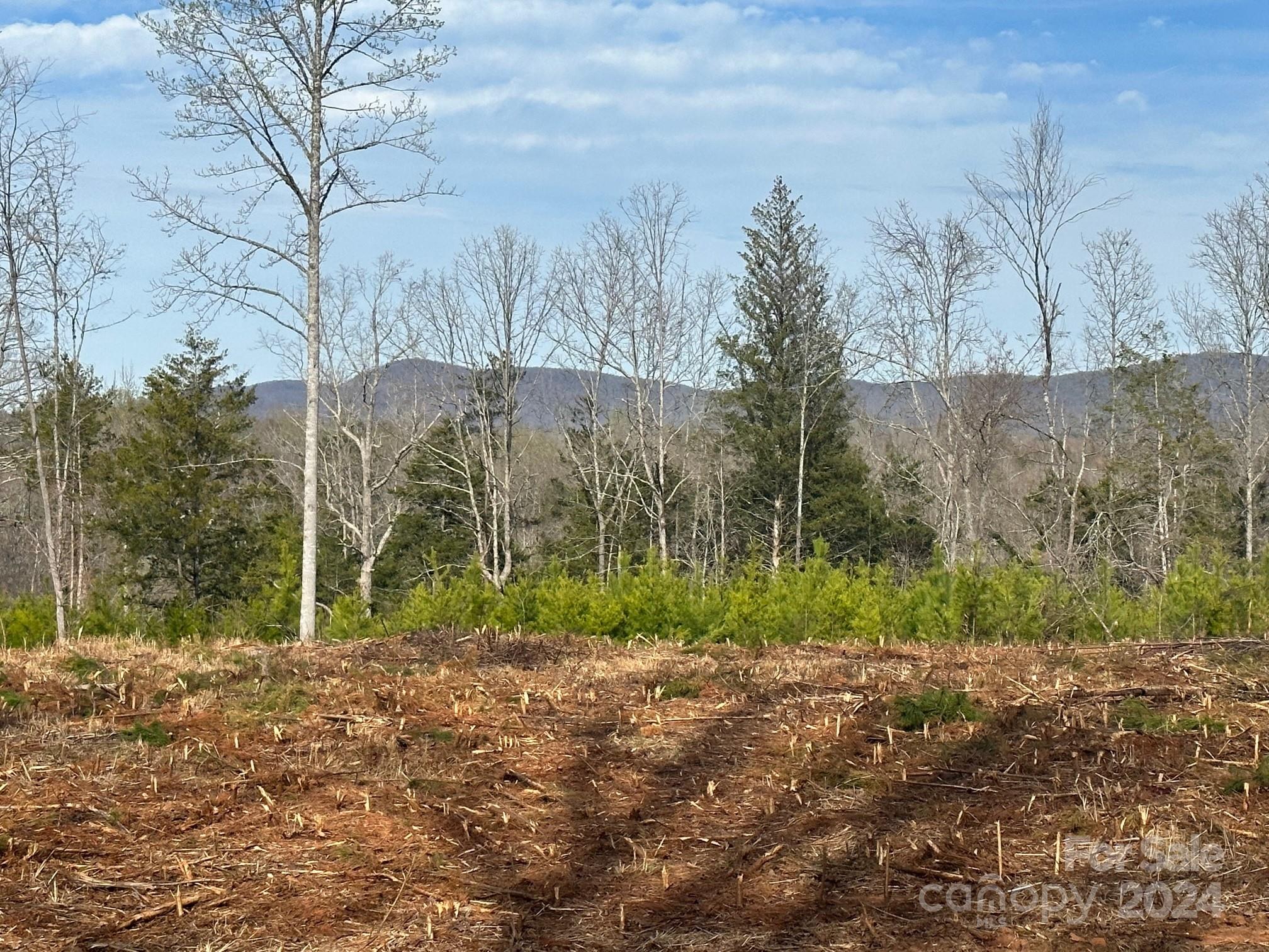 0 Collins Road Forest City, NC 28043 - Photo 8 of 20 a backyard of a house with lots of green space