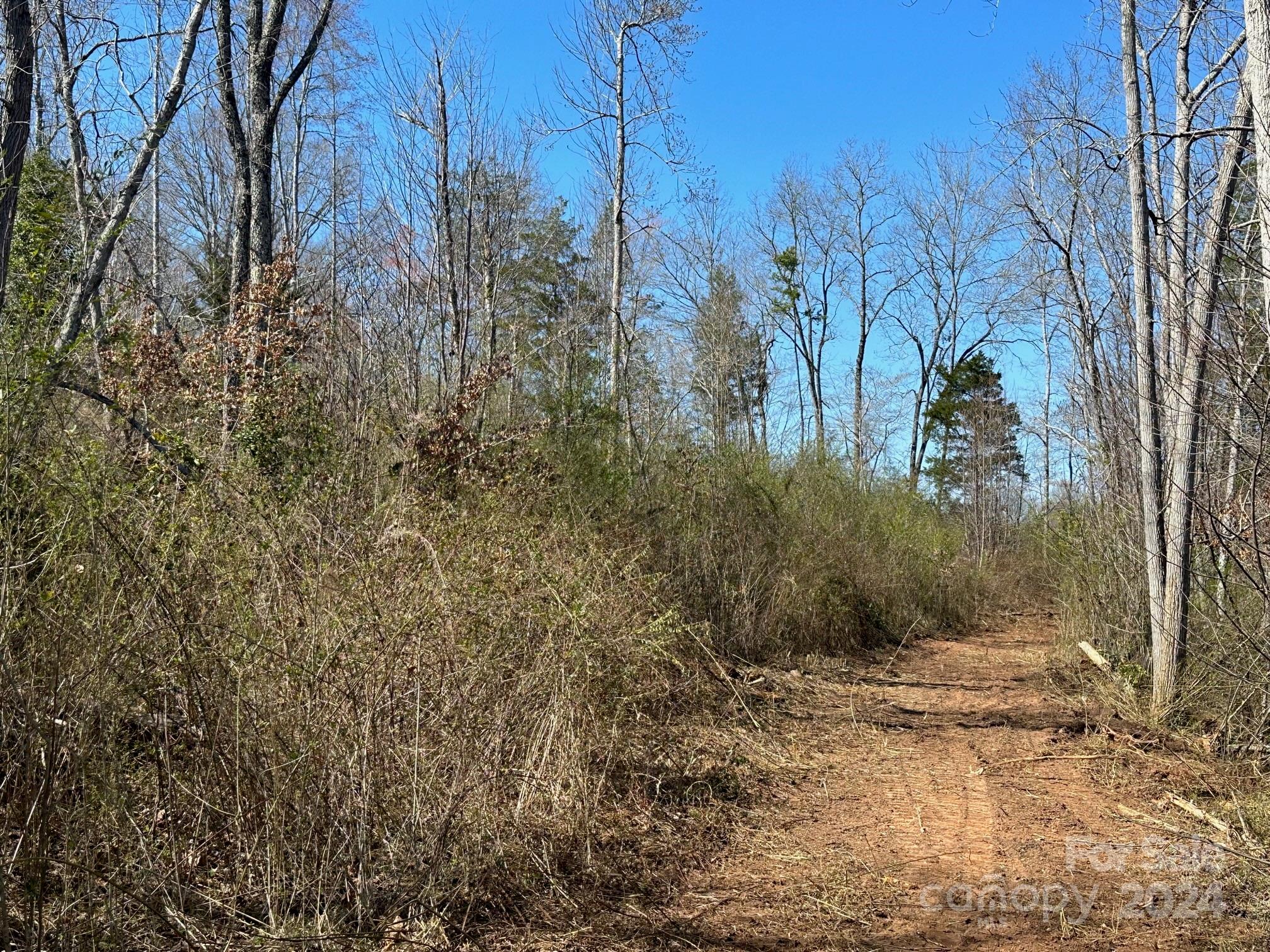 0 Collins Road Forest City, NC 28043 - Photo 9 of 20 a backyard of a house