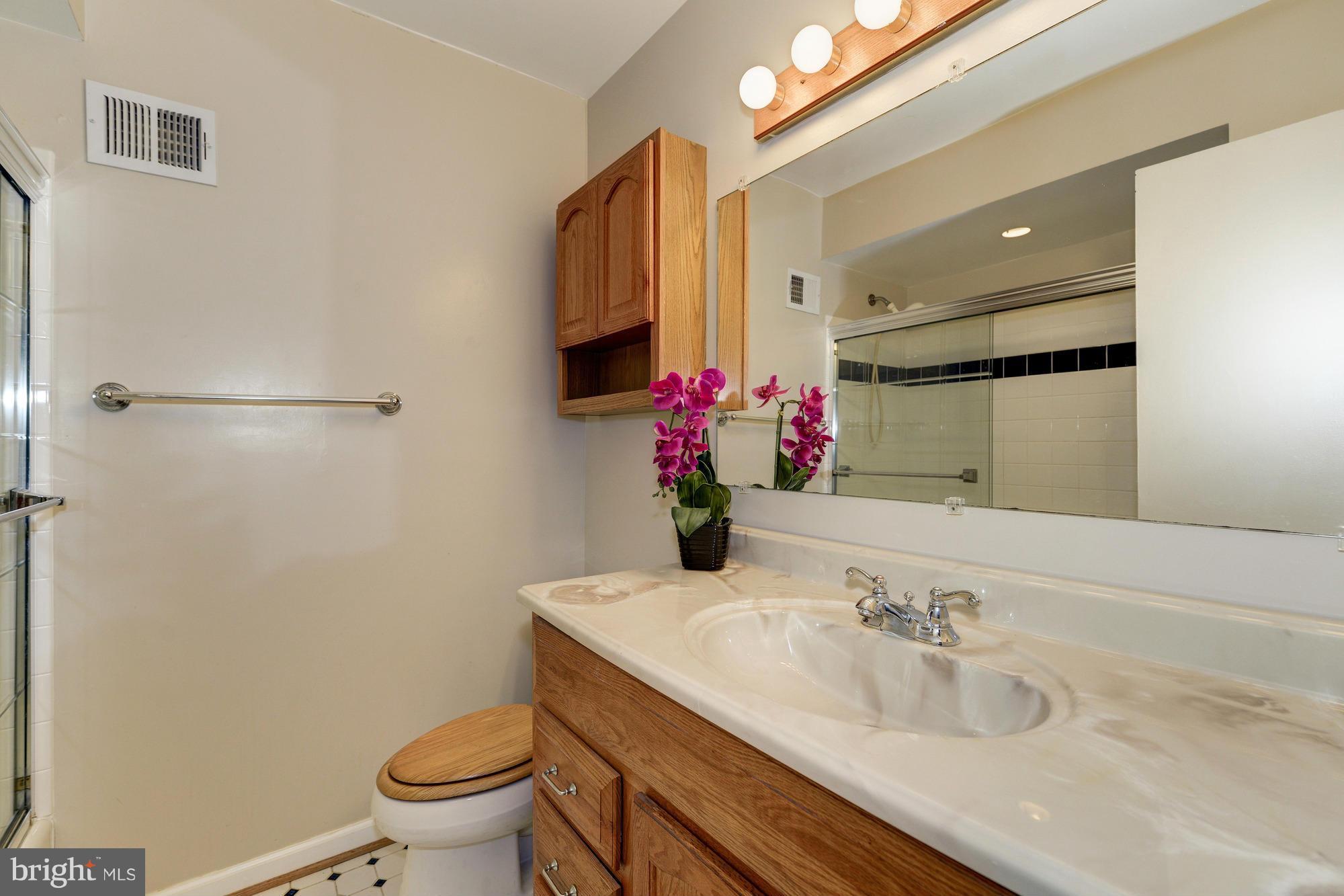8306 Wickham Road Springfield, VA 22152 - Photo 20 of 29 a bathroom with a granite countertop sink a toilet and mirror