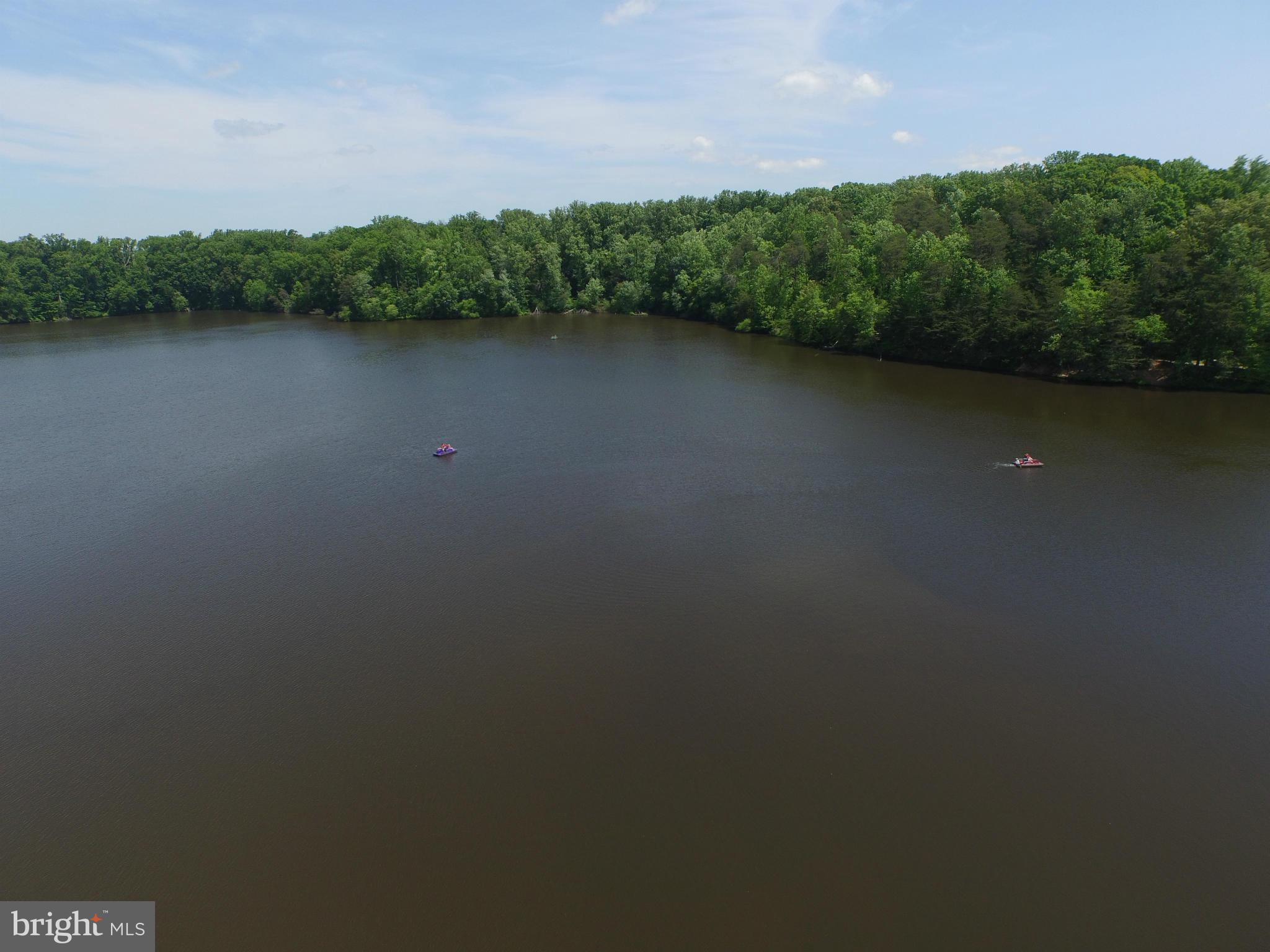 8306 Wickham Road Springfield, VA 22152 - Photo 25 of 29 a view of a lake from a yard