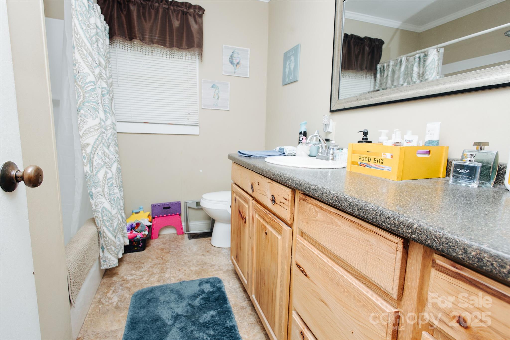 98 Long Street Marion, NC 28752 - Photo 12 of 30 a bathroom with a sink and a mirror
