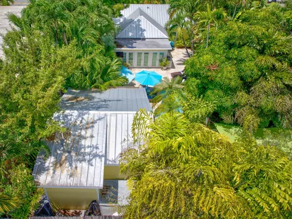 a aerial view of a house with swimming pool and large trees