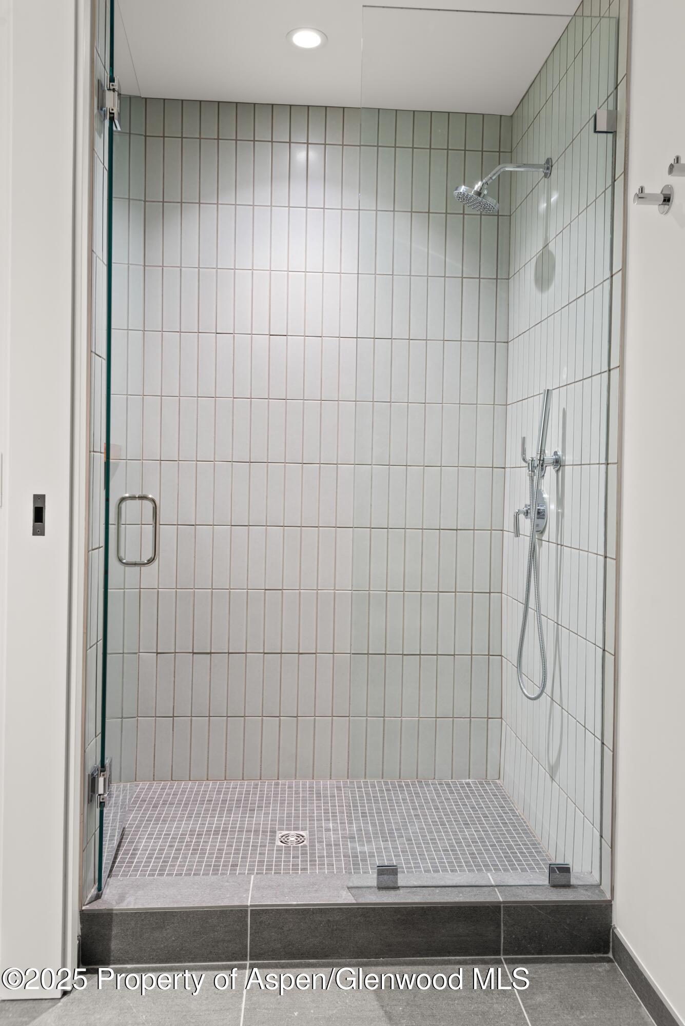 119 Wood Road, Unit 401 Snowmass Village, CO 81615 - Photo 18 of 38 ElectricPassLodge_401_HiRes23060707