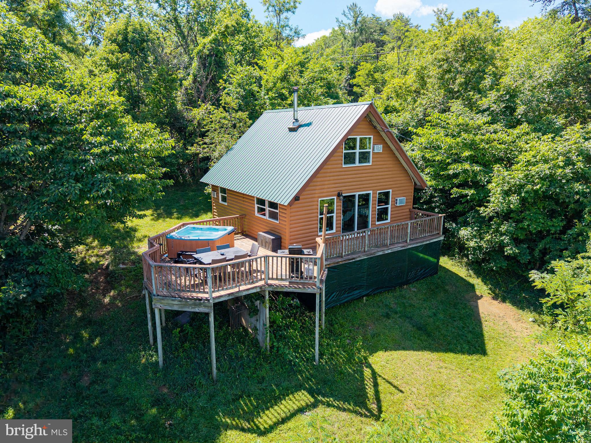 707 Overlook Drive Rileyville, VA 22650 - Photo 56 of 94