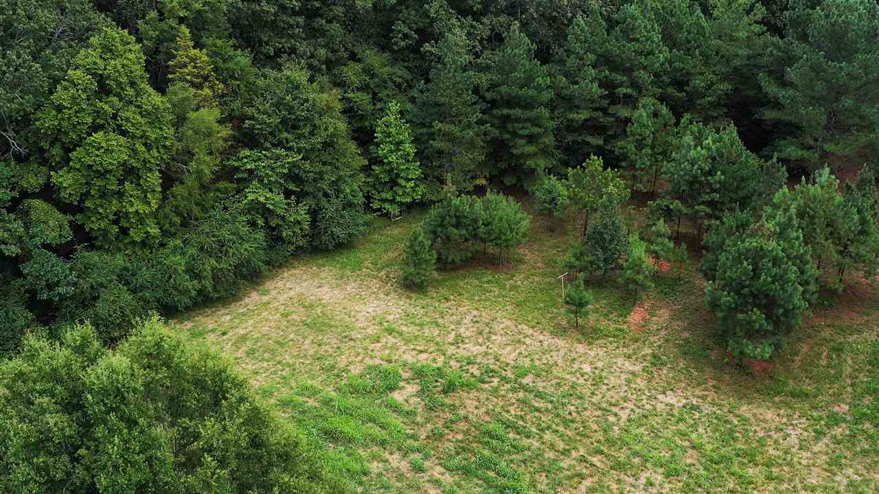 145 Tomlin Road Somerville, TN 38068 - Photo 18 of 20 Gallery Image 18