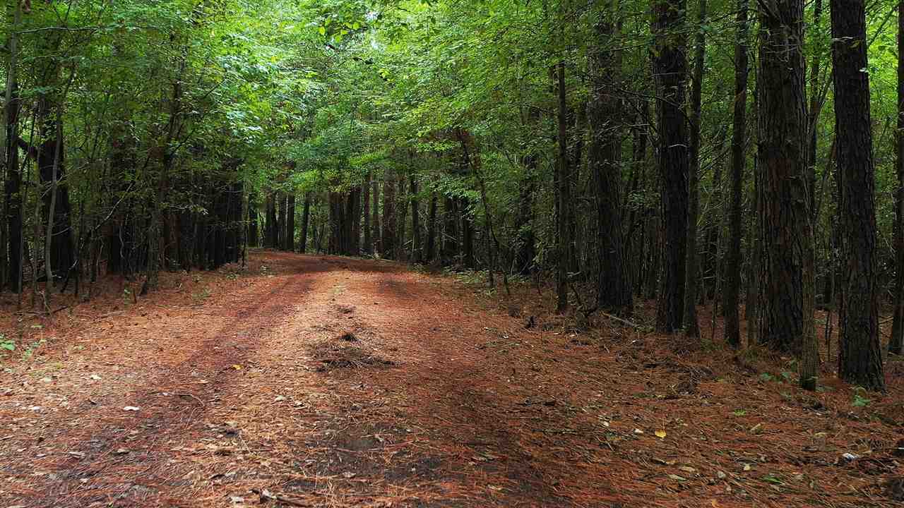 145 Tomlin Road Somerville, TN 38068 - Photo 19 of 20 Gallery Image 19
