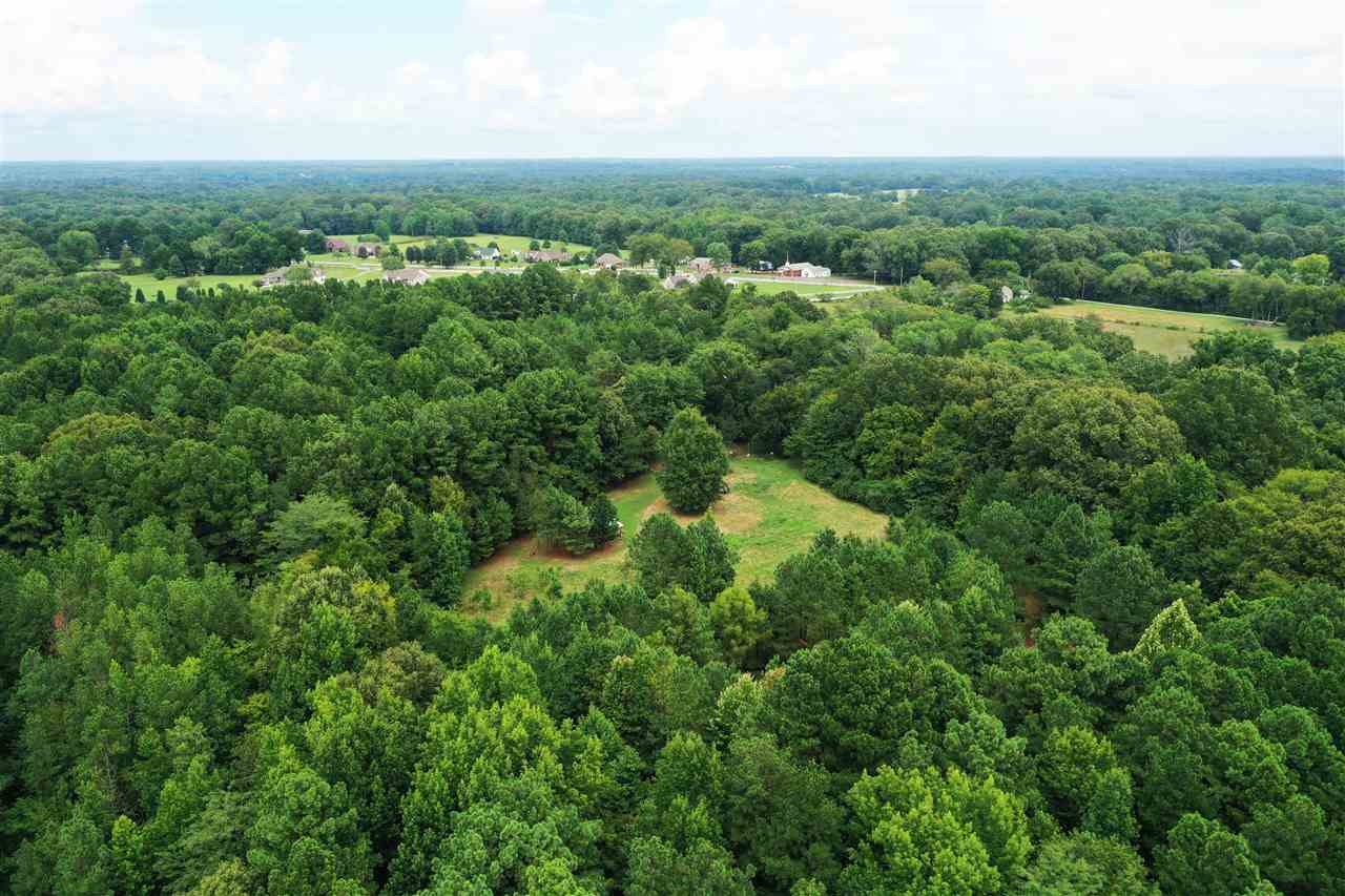 145 Tomlin Road Somerville, TN 38068 - Photo 3 of 20 Gallery Image 3