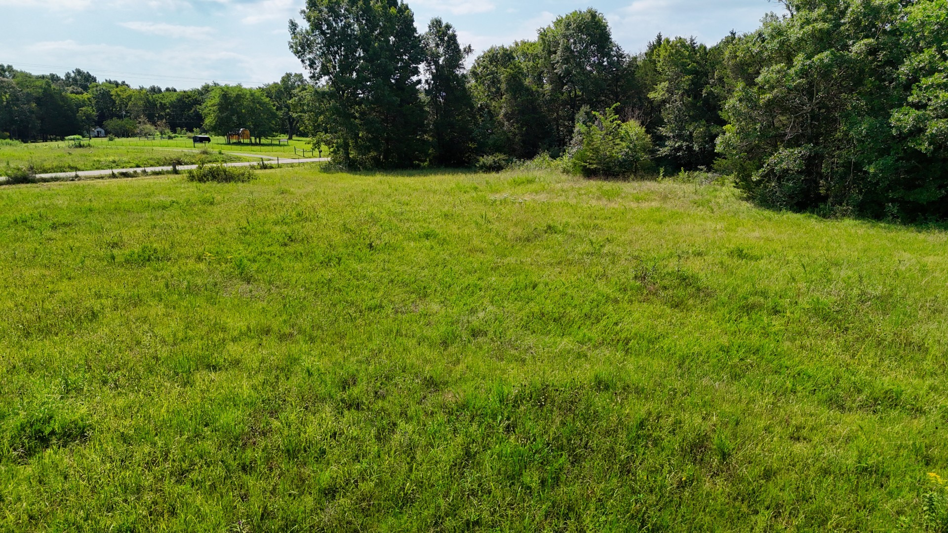 6 Cedar Grove Road Murfreesboro, TN 37127 - Photo 58 of 66 Gallery Image 58