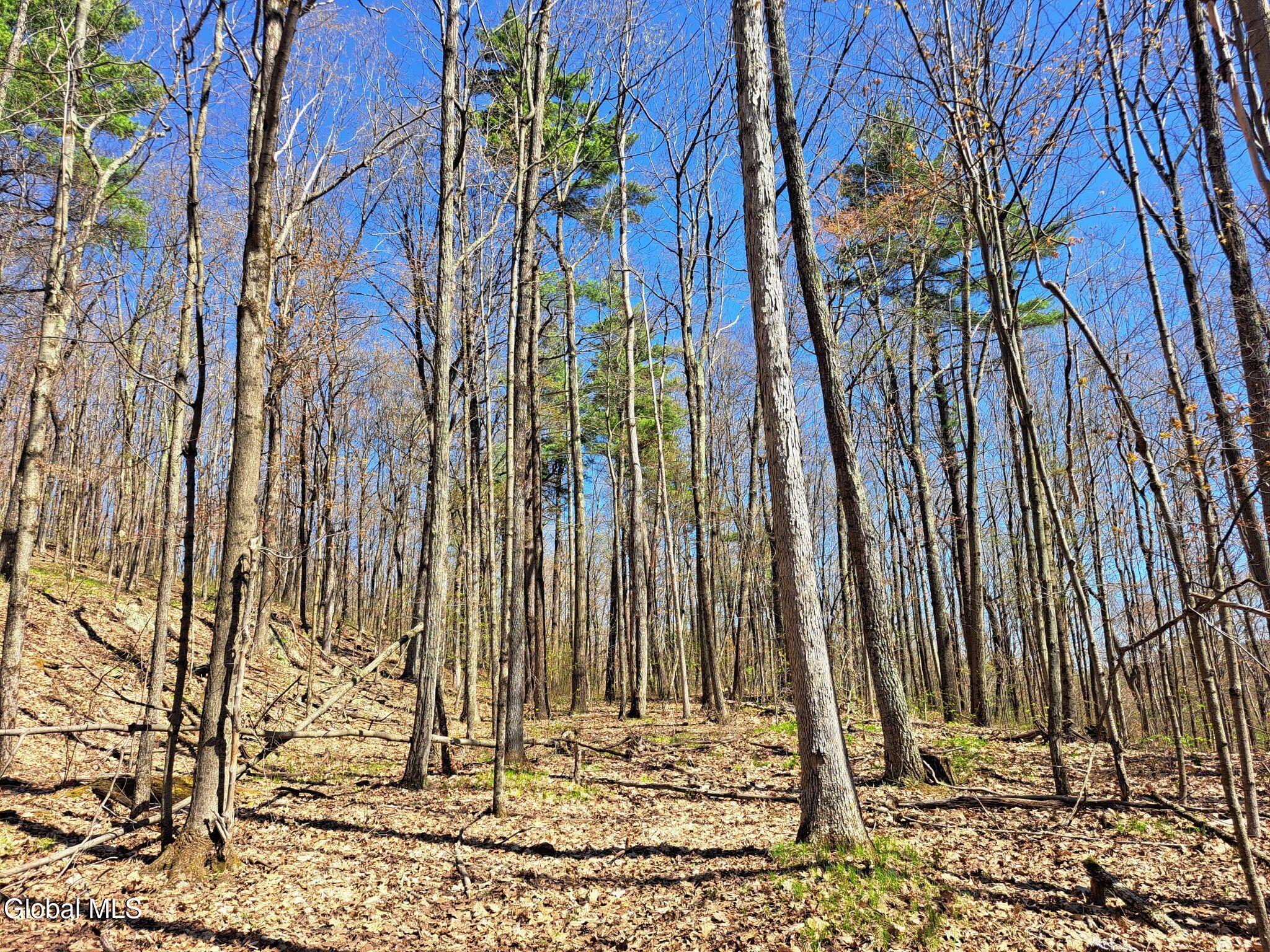 277 Breese Hollow Road Hoosick, NY 12089 - Photo 52 of 52 52 Hardwoods