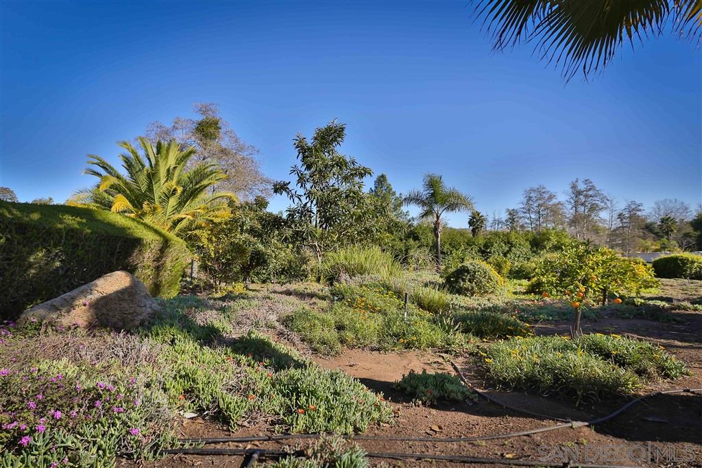 13810 Del Poniente Road Poway, CA 92064 - Photo 17 of 23