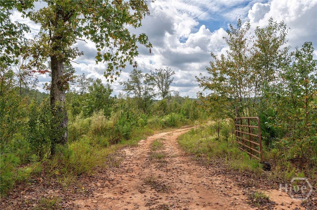 0 Old Salem Road Conyers, GA 30013 - Photo 7 of 26 Gallery Image 7