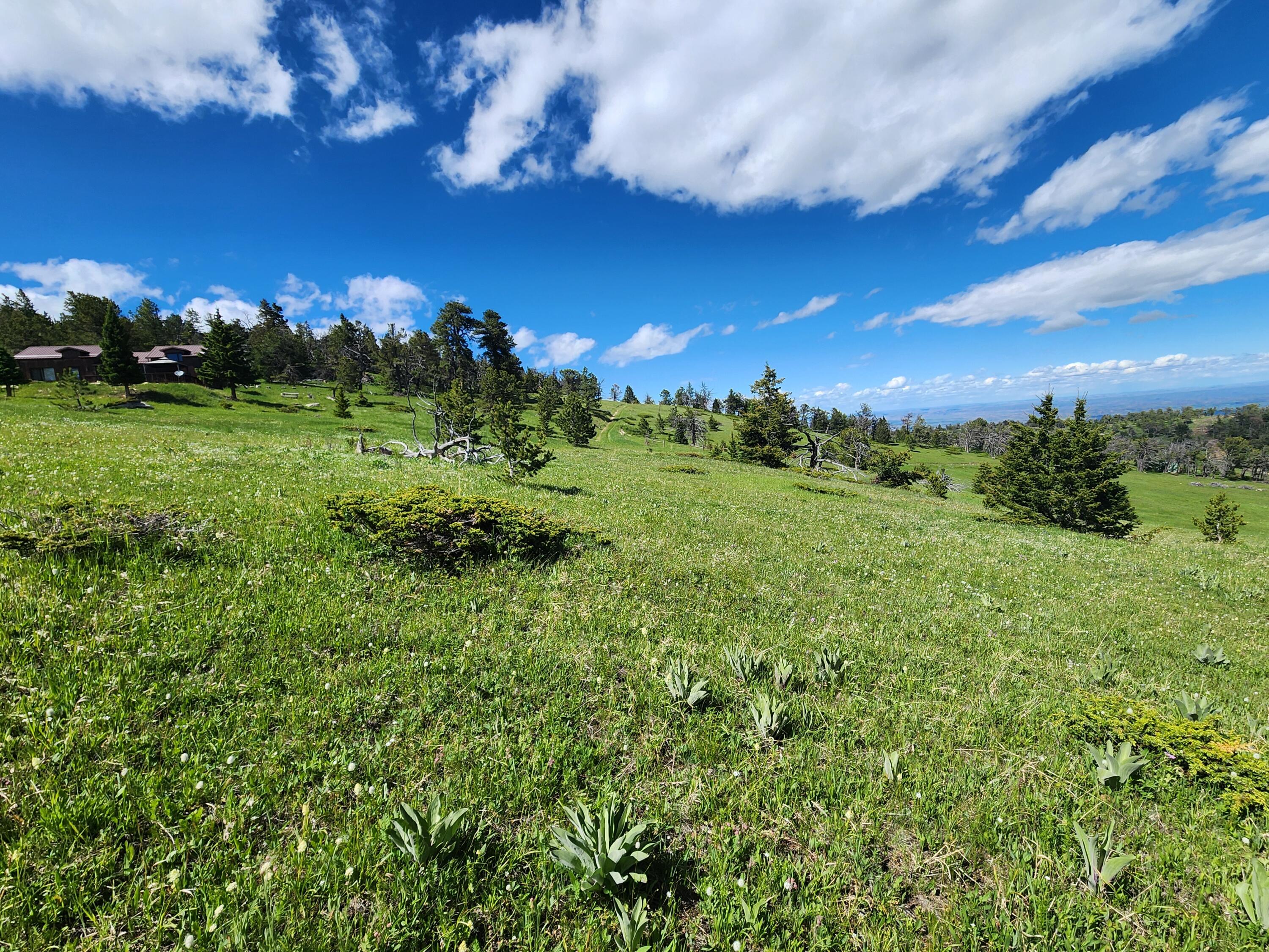 12 Blacktooth Road Big Horn, WY 82833 - Photo 10 of 25 Lot 12
