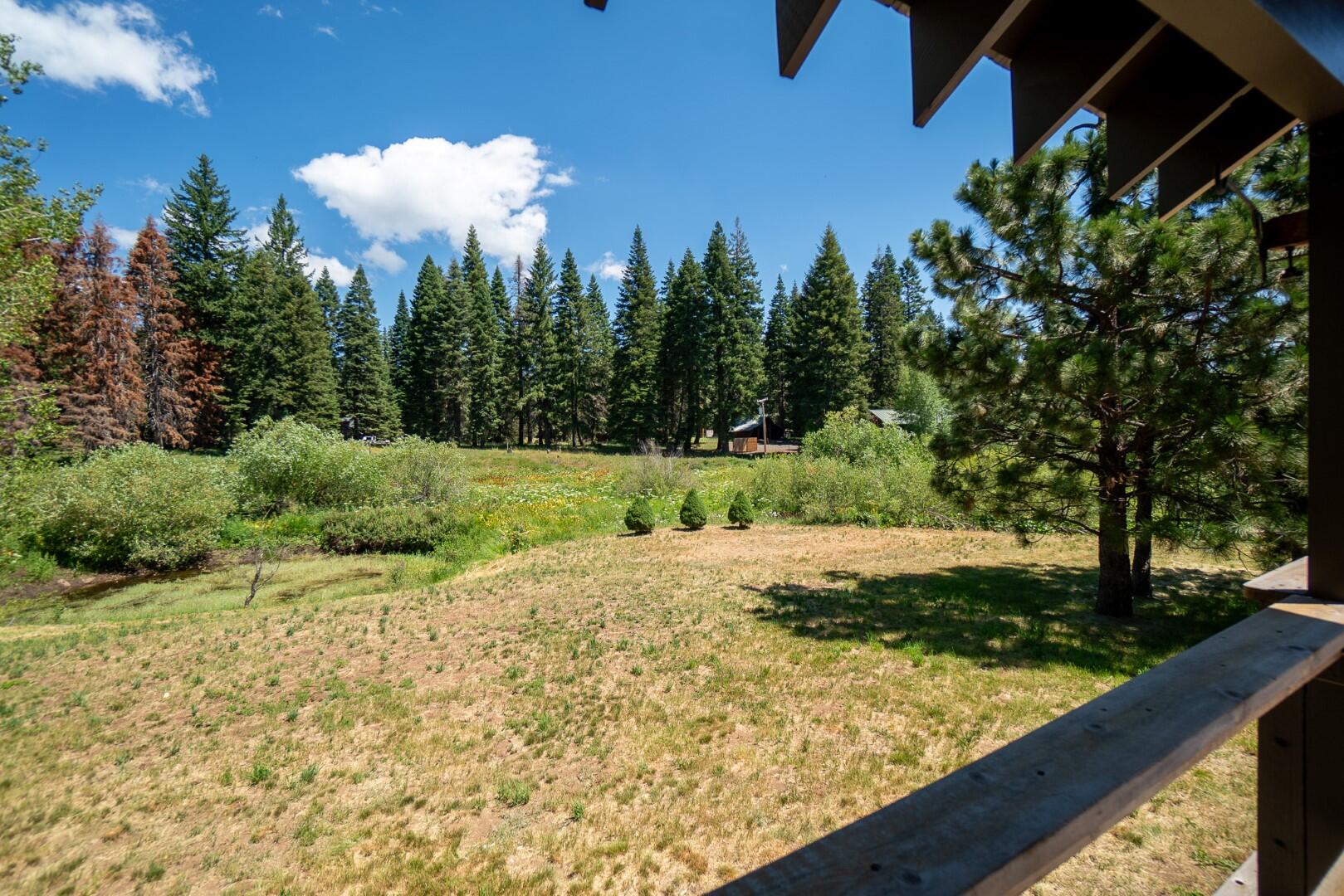 7540 Hyatt Prairie Road Ashland, OR 97520 - Photo 11 of 39 Deck off Living Area
