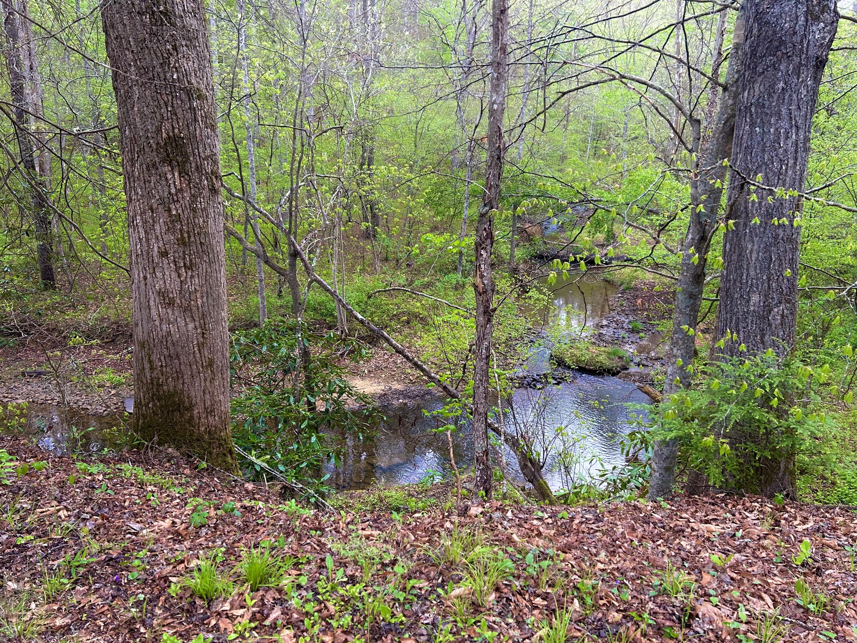 1180 Raccoon Creek Road Sandgap, KY 40481 - Photo 41 of 60 IMG_5699