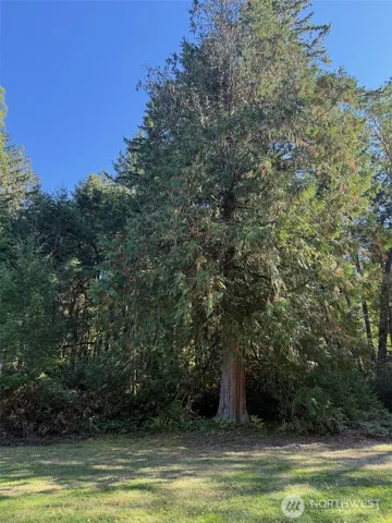 a view of lake with trees