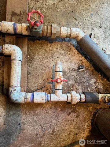 a view of a tree in a backyard