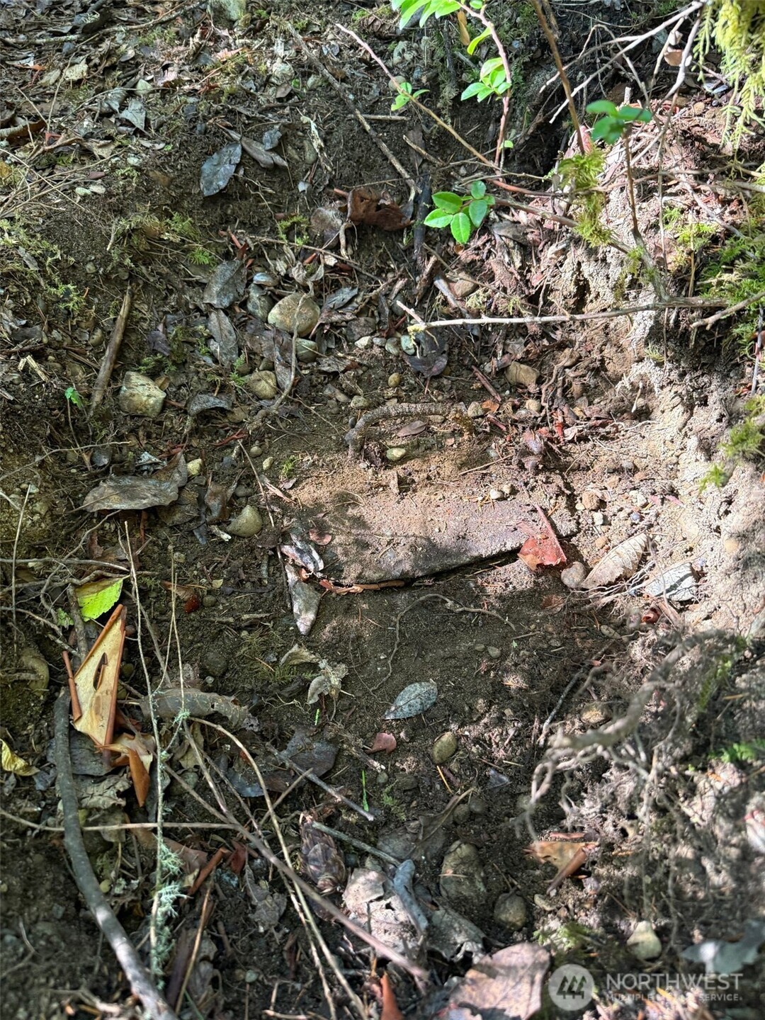 17430 27th Street Southwest Lakebay, WA 98349 - Photo 14 of 26 a view of bushes