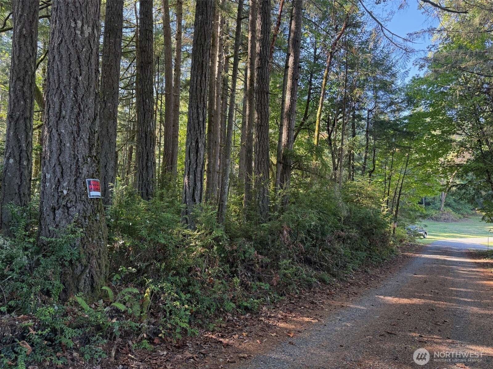 17430 27th Street Southwest Lakebay, WA 98349 - Photo 3 of 26 a view of outdoor space and yard