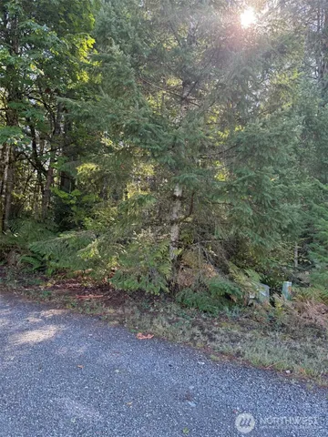 a view of a street with a tree