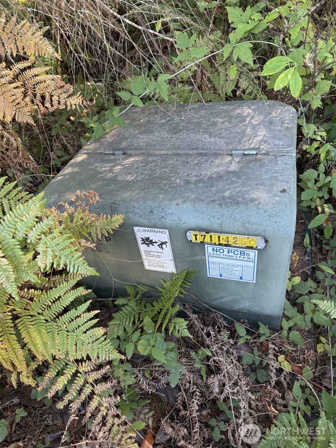 17430 27th Street Southwest Lakebay, WA 98349 - Photo 9 of 26 a view of a street with a tree