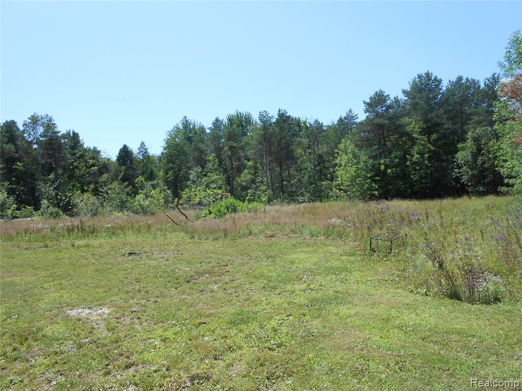 0 Snover Road Sandusky, MI 48471 - Photo 4 of 10