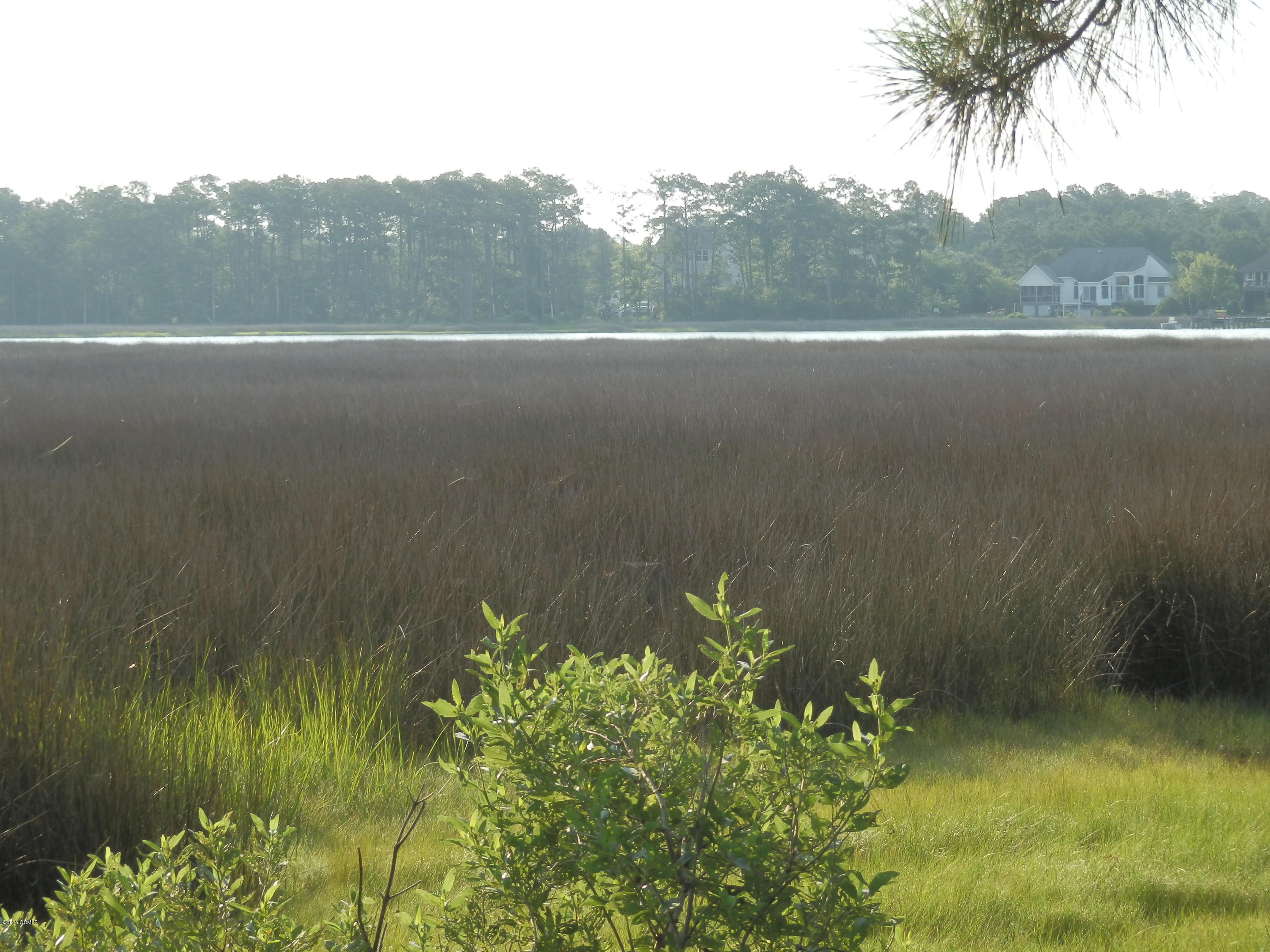 260 Cottage Farm Road Beaufort, NC 28516 - Photo 5 of 15 P6303521