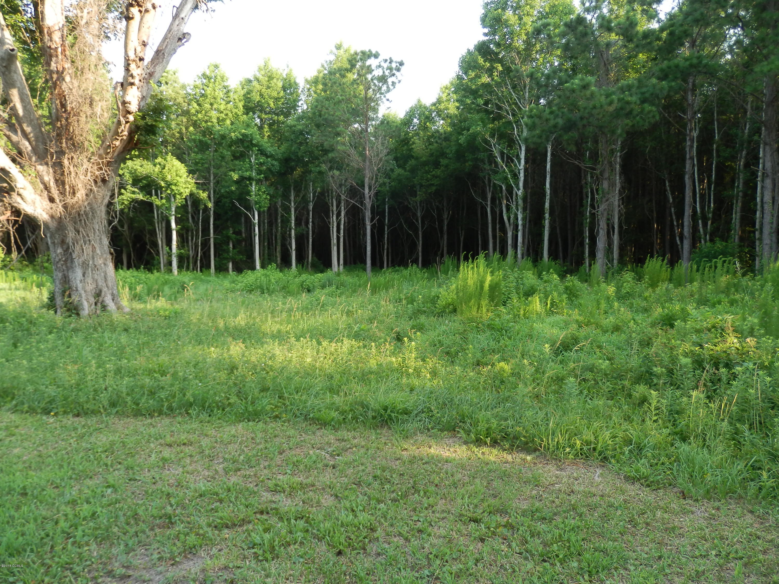 260 Cottage Farm Road Beaufort, NC 28516 - Photo 7 of 15 P6303519