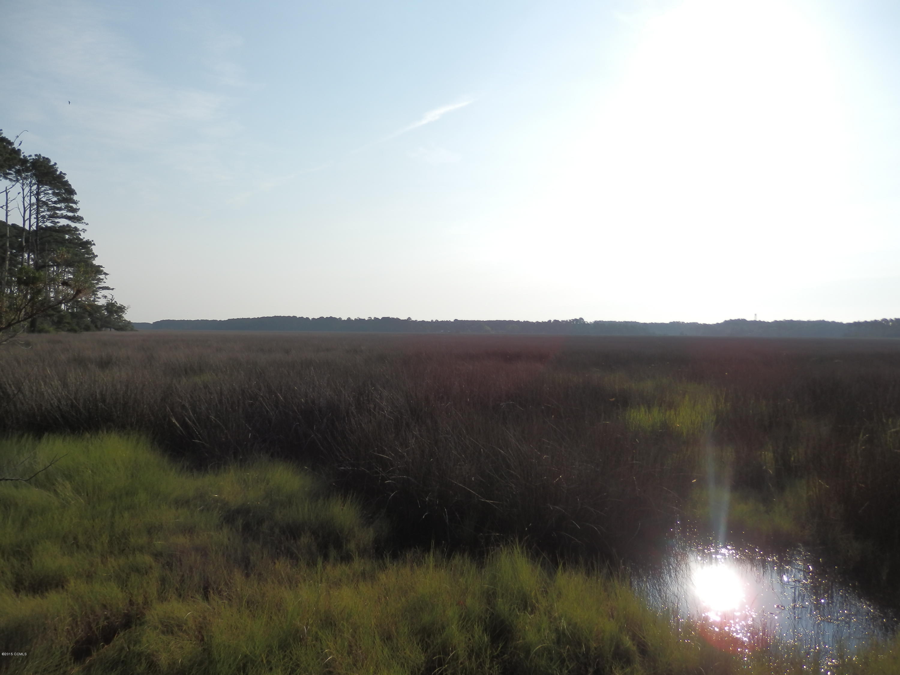 260 Cottage Farm Road Beaufort, NC 28516 - Photo 9 of 15 P6303524