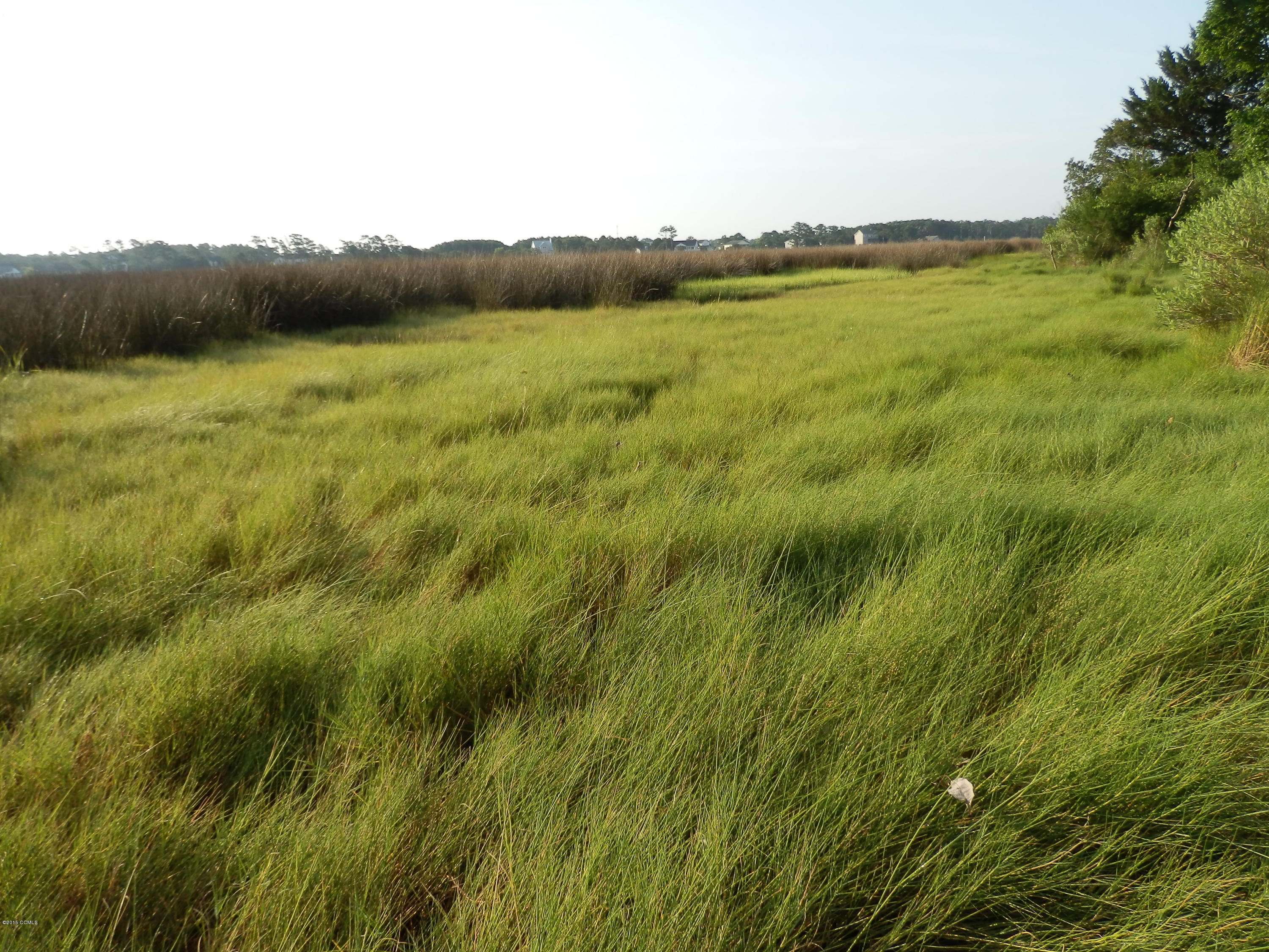 260 Cottage Farm Road Beaufort, NC 28516 - Photo 10 of 15 P6303527